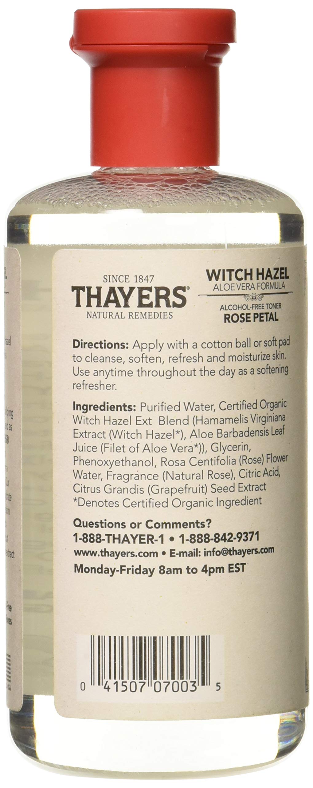 White Smoke Thayer Witch Hazel Rose Alcfree