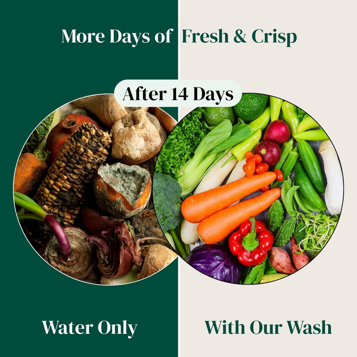 Dark Slate Gray The Green Alcove Fruit and Vegetable Wash Powder - Produce Cleaner - Removes Dirt & Residue - 4.2 oz
