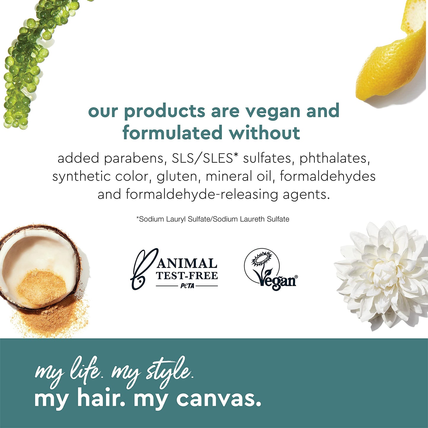 White Smoke My Hair. My Canvas. Begin Again Vegan Curl Enhancing Conditioner for Curly, Wavy, and Coily Hair, 33 oz