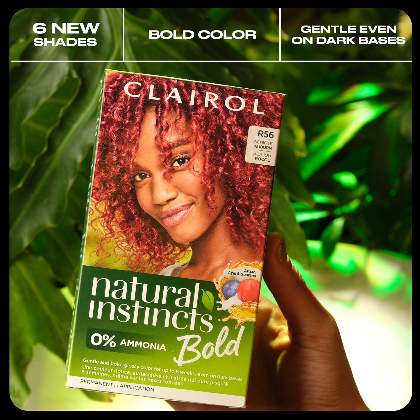 Black Clairol Natural Instincts Bold Permanent Hair Dye, F66 Dragon Fuchsia Hair Color, Pack of 1