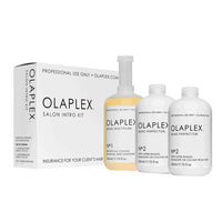 Lavender Olaplex Olaplex Salon Intro Kit