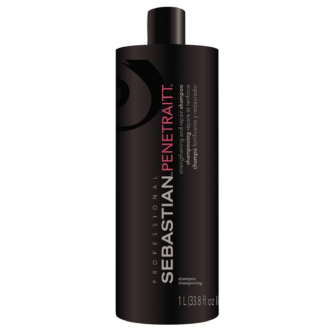 Dark Slate Gray Sebastian Penetraitt Shampoo - Foundation