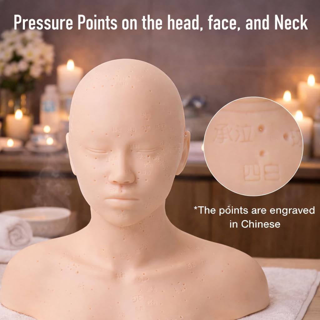 Tan Japard Mannequin Head for Facial Practice, Massage, Esthetics Doll with Acupressure Point, Soft PVC Silicone Head with Shoulder