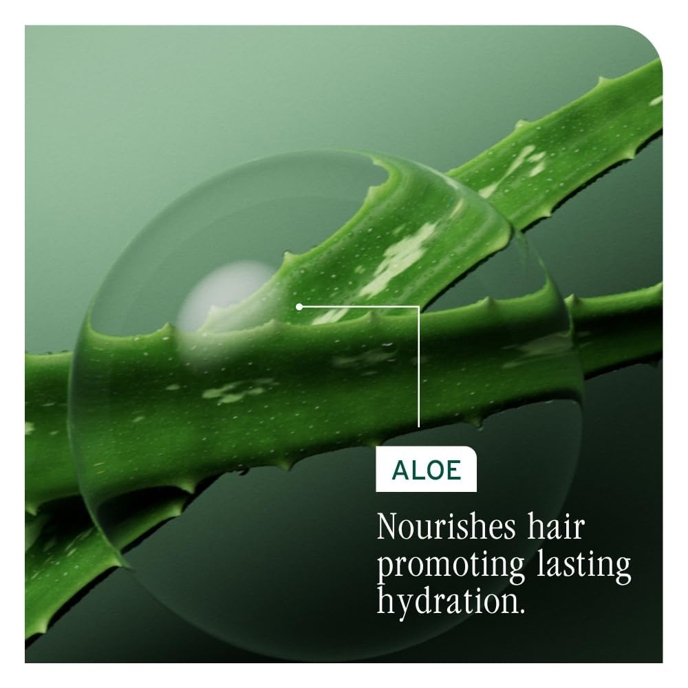 Dark Sea Green Biolage Winter Rescue Kit - Hydra Source and Strength Cure Mini Shampoo, Conditioner and Scalp Sync Concentrate, Hydrates and Repairs Damage, For Healthy Scalp And Strong Hair