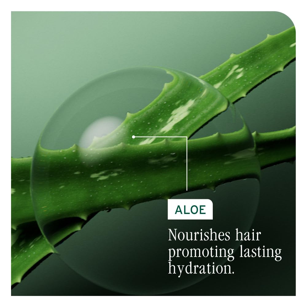 Dark Sea Green Biolage Hydra Source Conditioning Balm - Moisturizes, Detangles & Adds Softness, For Dry Hair, Infused with Fermented Aloe & Micro-Filtered Hyaluronic Acid, Vegan & Paraben-Free, 7.9 Fl Oz
