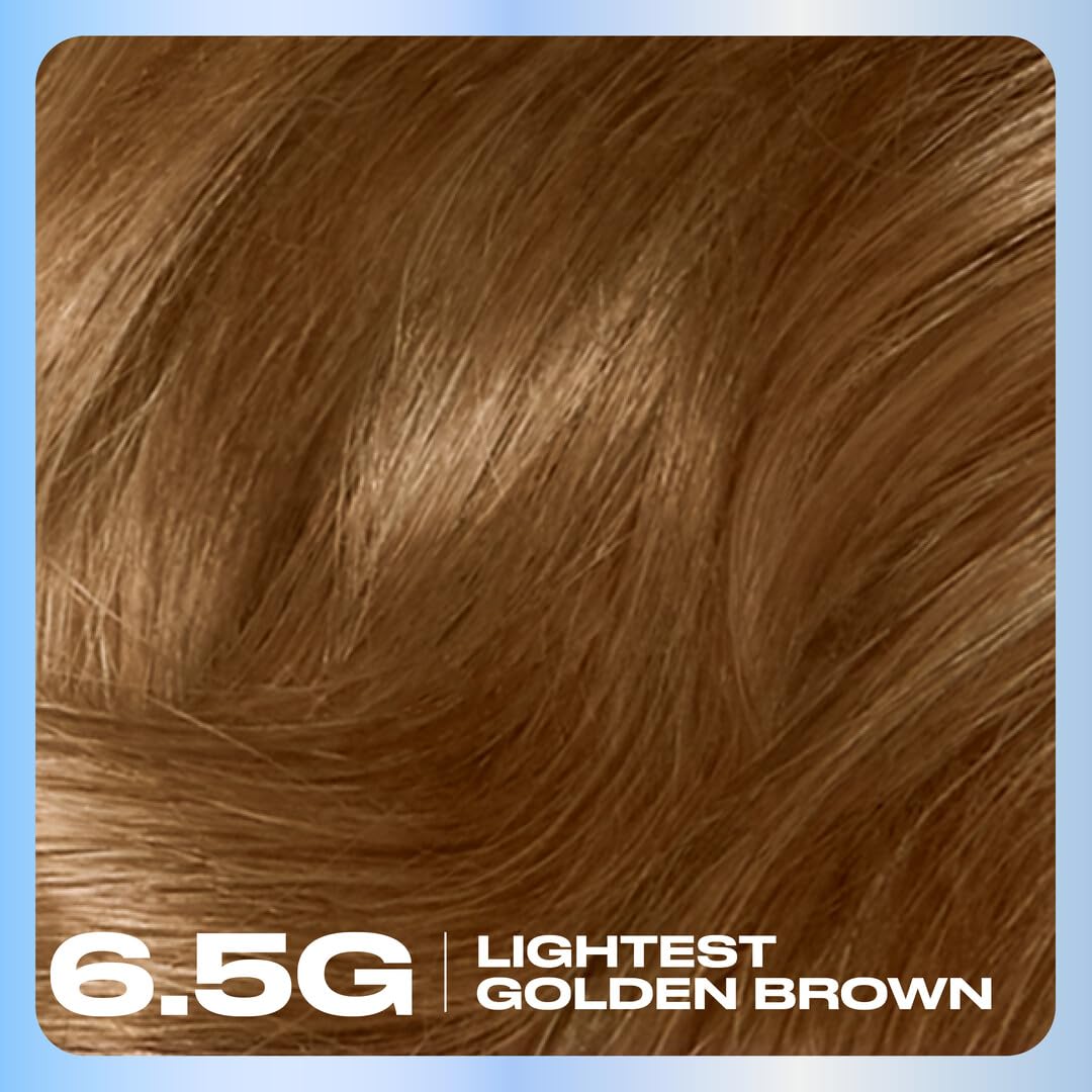 Saddle Brown Clairol Nice'n Easy Permanent Hair Dye, 6.5G Lightest Golden Brown Hair Color, Pack of 3 - Packaging May Vary