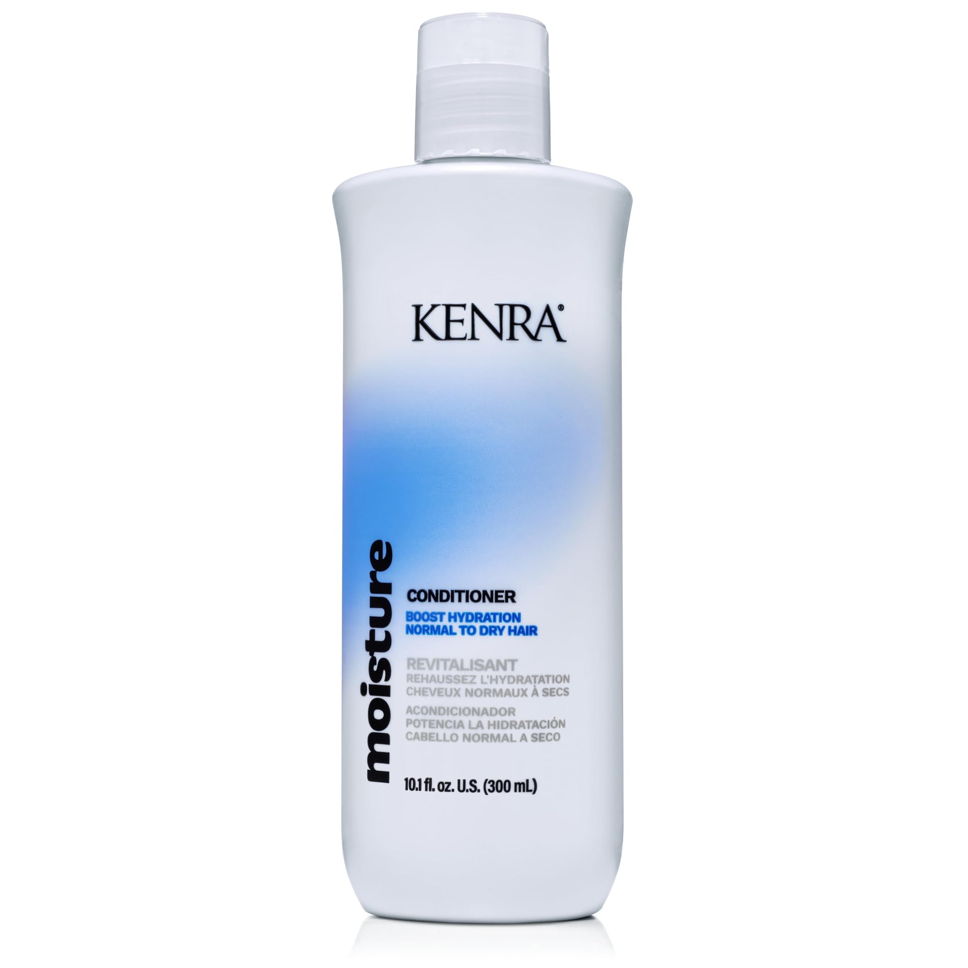 Light Gray Kenra Professional Moisture Conditioner | Boost Hydration | Improve Manageability and Shine | Nourish Dry Hair | Color Safe | Efforless Detangling | Normal to Dry Hair