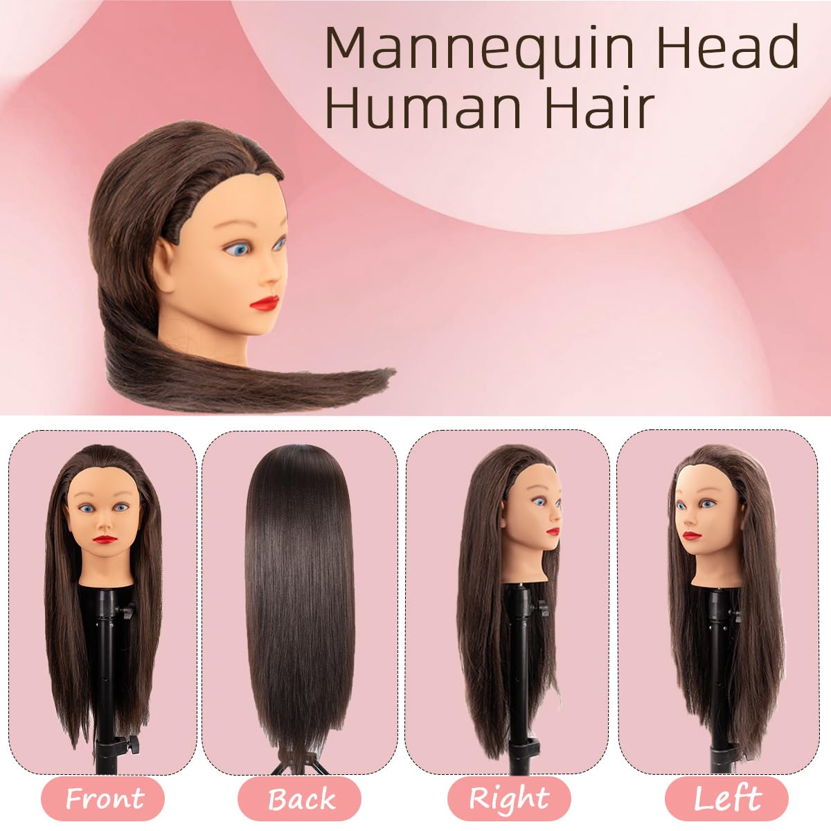 Thistle Mannequin Head with 80% Human Hair for Hair Styling Practice 26-28 Inch Straight Hair Training Head for Cosmetology Barber Hairdresser Students and Professionals (809-4#80%)