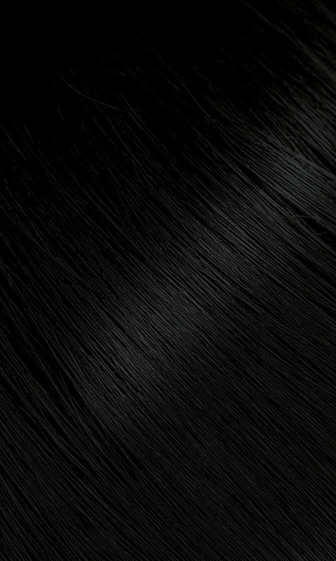 Black #59 Oriental Black Bigen Permanent Powder - 3 Pack