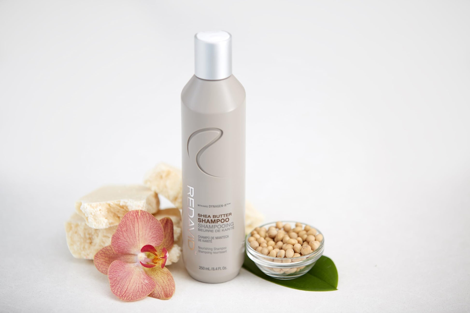Lavender Redavid Shea Butter Nourishing Shampoo for Normal to Dry, Damaged hair - with Shea Butter, Silk Amino Acids, Clinically Strengthens, Adds Moisture & Enhanced Shine - Color Safe (250ml)