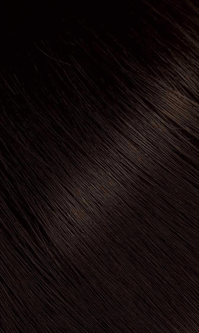 Black #47 Medium Chestnut Bigen Permanent Powder - 6 Pack