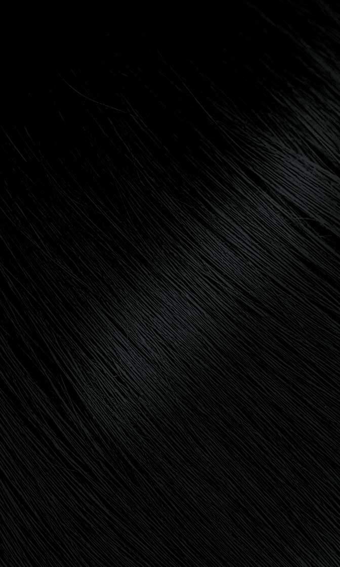 Black #88 Blue Black Bigen Permanent Powder (3 Pack)