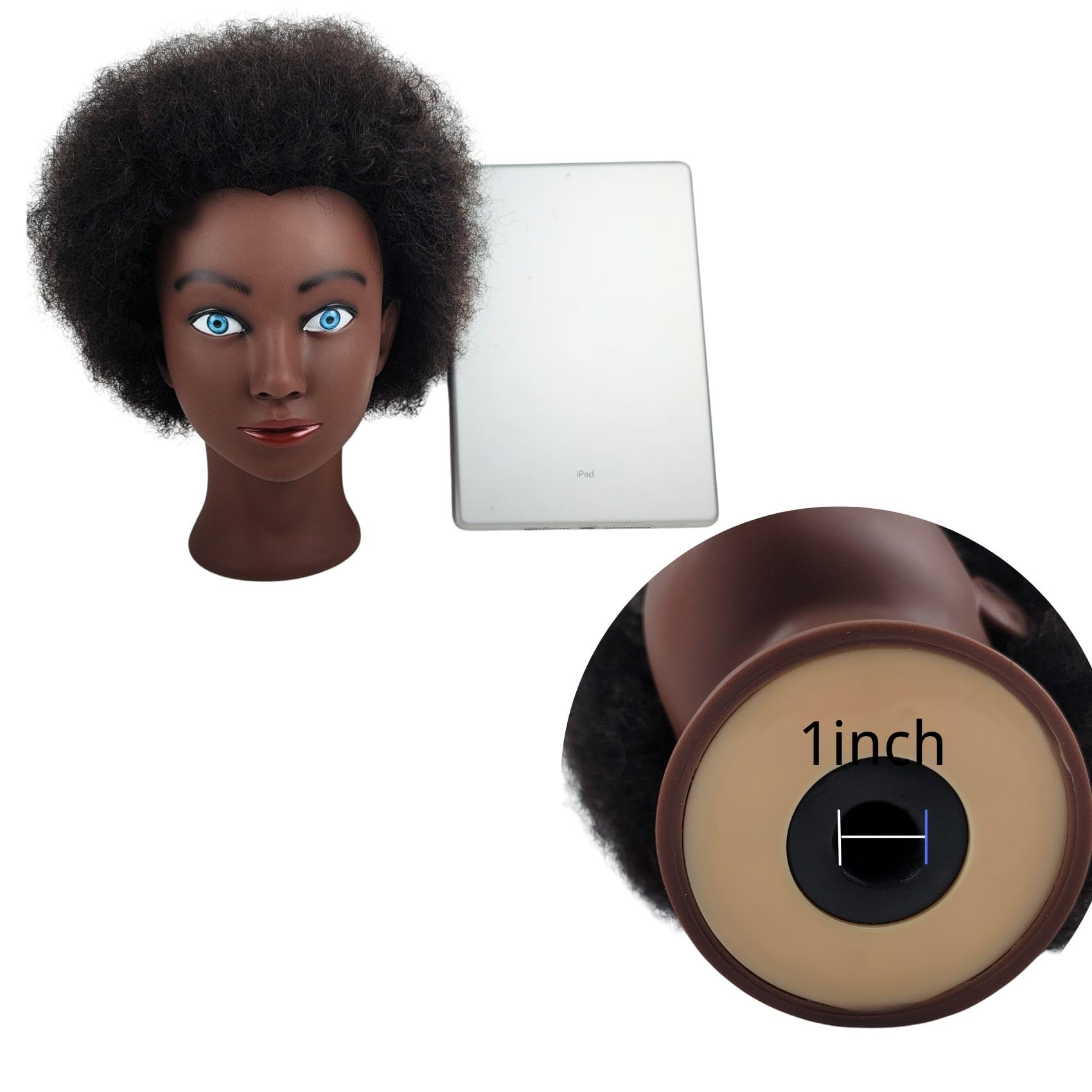 White Smoke Afro Curly Hair Mannequin Head for Braiding Practice, 8" Real Human Hair Mannequin Head for Cosmetology Students Mannequin Doll Head for Hair Styling Kids