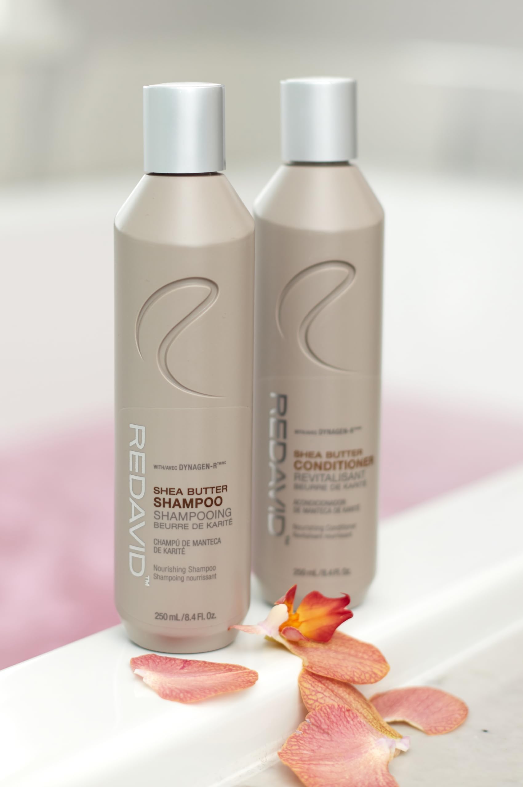 White Smoke Redavid Shea Butter Nourishing Shampoo for Normal to Dry, Damaged hair - with Shea Butter, Silk Amino Acids, Clinically Strengthens, Adds Moisture & Enhanced Shine - Color Safe (250ml)