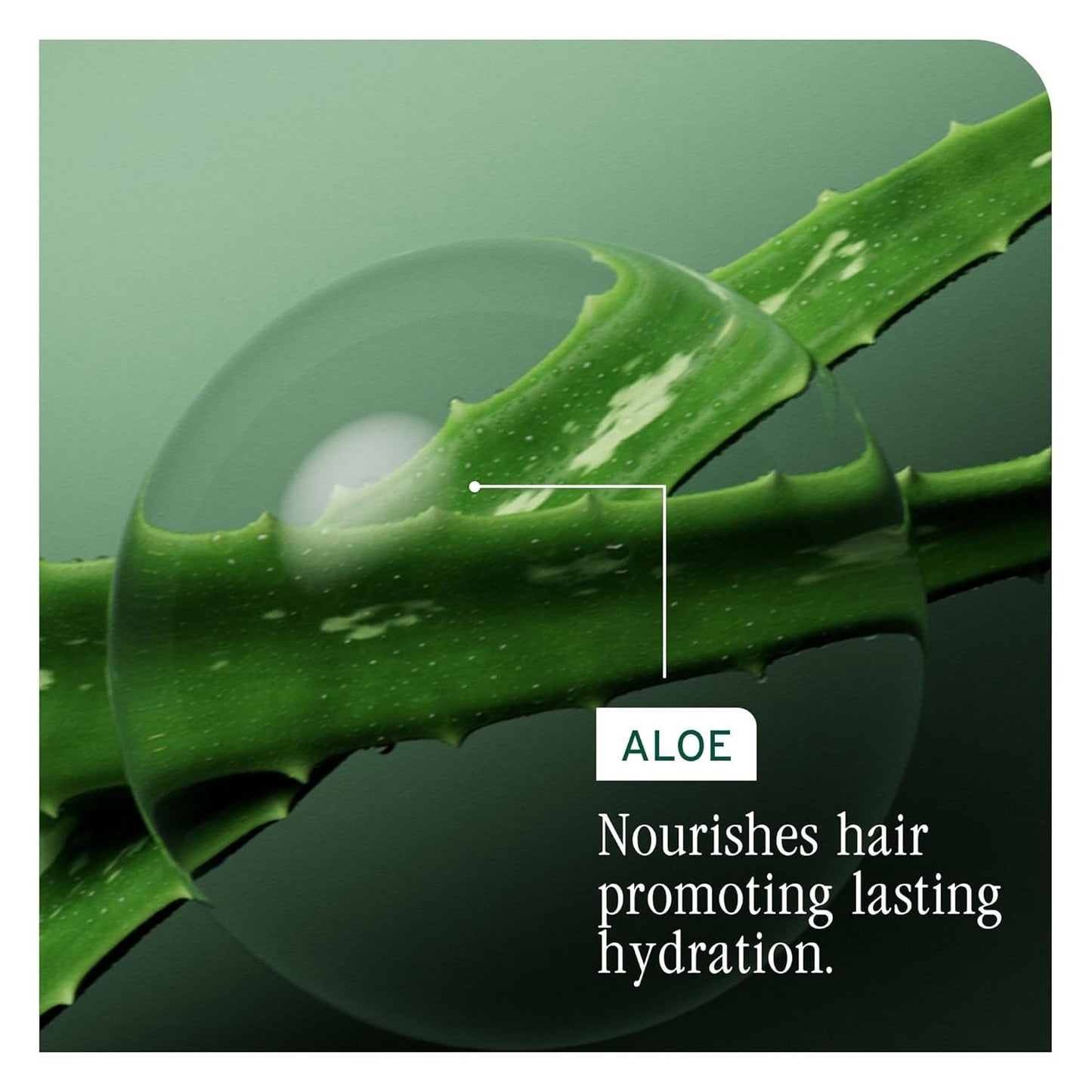 Dark Sea Green Biolage Hydra Source Travel Size Trio Kit - With Mini Hydra Source Shampoo, Conditioning Balm, & All-In-One Spray, For Dry Hair, Deeply Moisturizes, Detangles & Adds Shine, 3 Piece Mini Set
