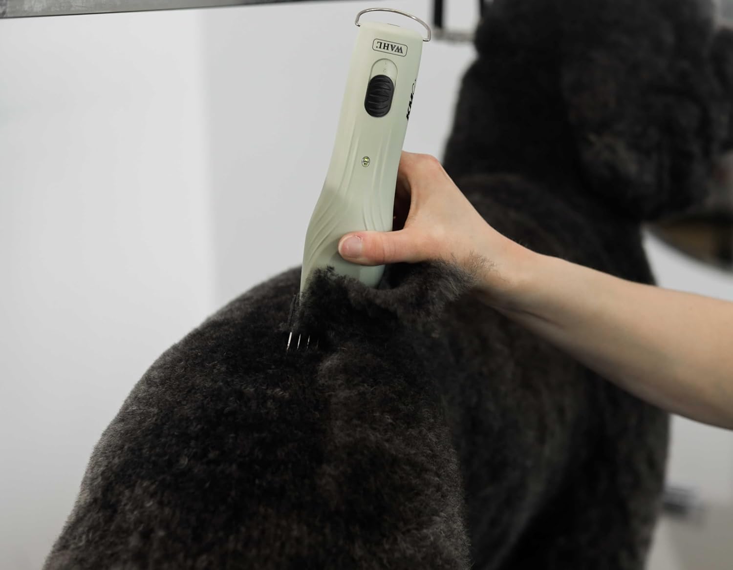 Black Wahl Professional Animal KMC+ 2-Speed Cordless Clipper (3025661) - Detachable Blade Pet & Dog Clipper Kit - Patented Ergonomic Housing Design - Sage