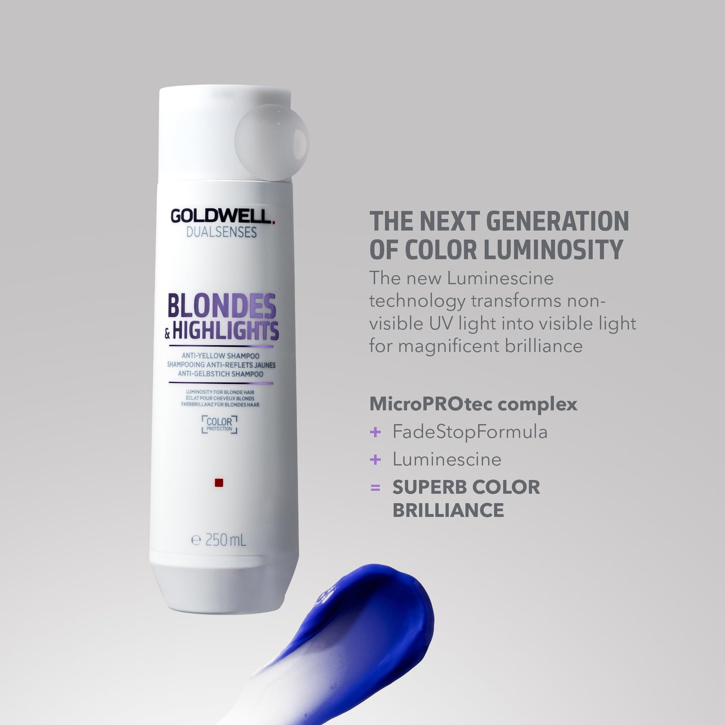 Gray Goldwell Dualsenses Blondes & Highlights Anti-Yellow Shampoo 1L