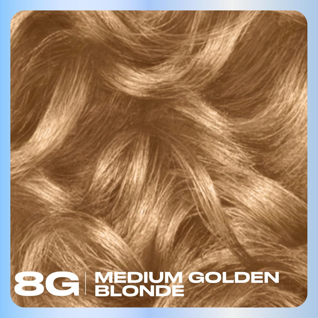 Sienna Clairol Nice'n Easy Permanent Hair Dye, 8G Medium Golden Blonde Hair Color, Pack of 1 - Packaging May Vary