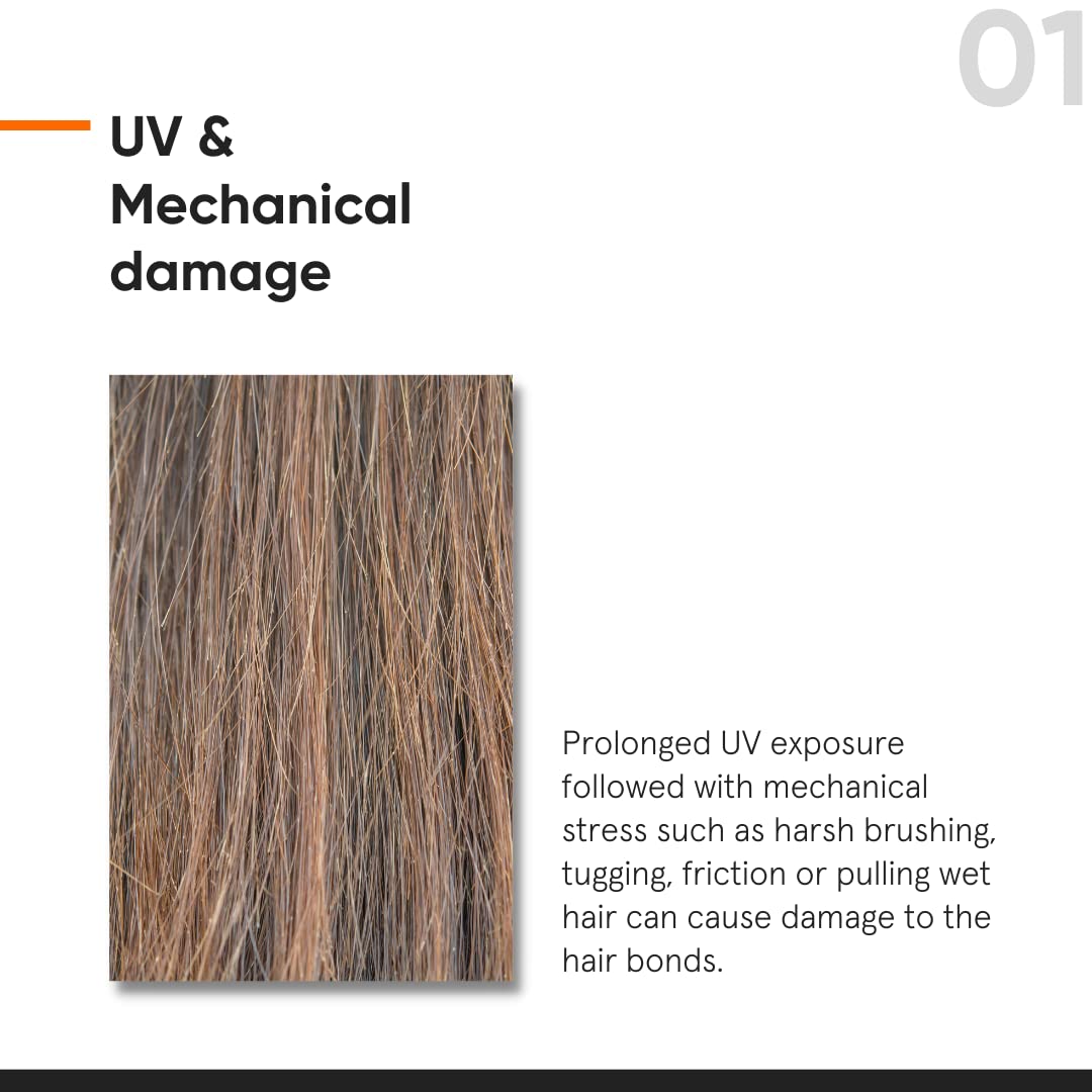 White Smoke Minimalist Hair Serum for Strengthening & Repairing Damaged Hair | Patent Pending Formula | Maleic Bond Repair Complex 05% | With Amino Acids, Argan Oil & Squalane | For Women & Men | 1.7 Fl Oz/ 50 ml