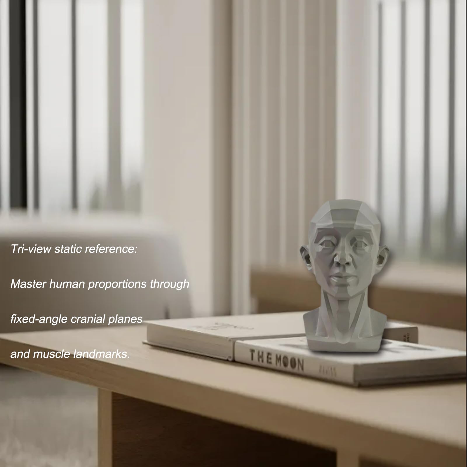 Gray Planar Head Model Drawing Mannequin Artists Learn Planes of Face Human Manikin Head for Medical and Artistic Drawing Skecthing Painting