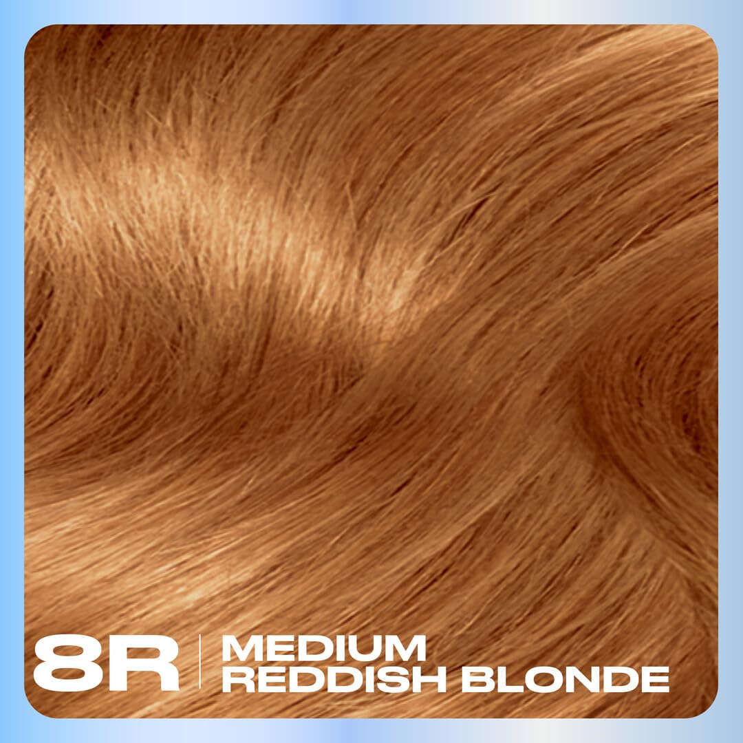 Saddle Brown Clairol Nice'n Easy Permanent Hair Dye, 8R Medium Reddish Blonde Hair Color, Pack of 1 - Packaging May Vary
