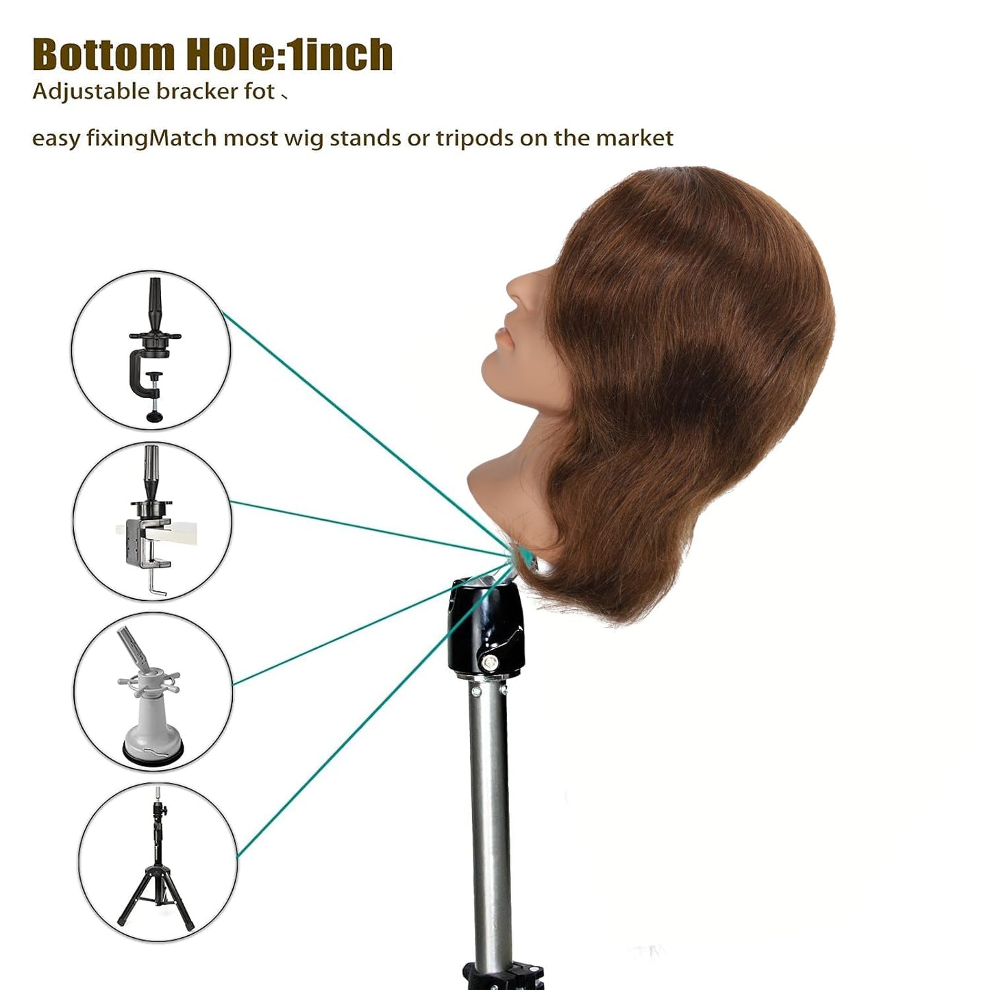 White Smoke TKIMHEQ 12" Male Mannequin Head with 100% Human Hair Haircut Training Head for Cosmetology Straight Thick Hair Manikin Head Doll Head with Stand Practice Cutting Styling (Brown#)