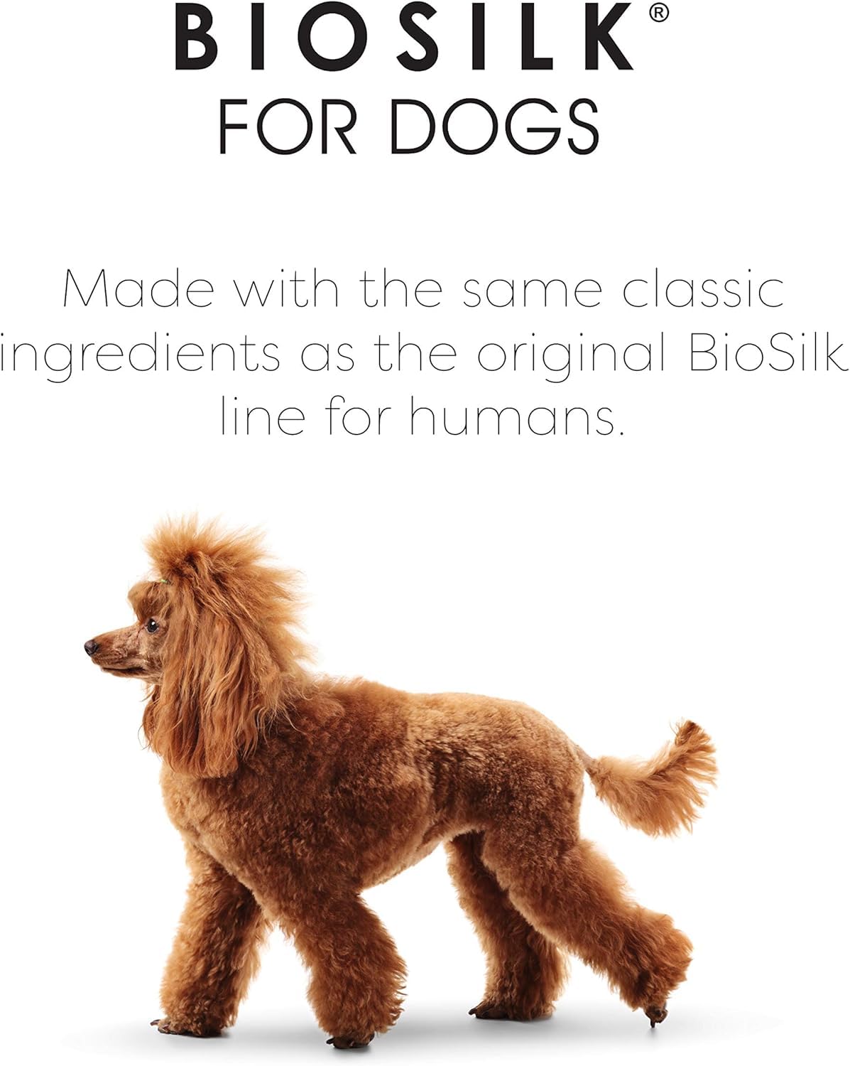 White Smoke BioSilk for Dogs Silk Therapy Conditioner with Natural Coconut Oil, Moisturizing Dog Conditioner, Sulfate and Paraben Free, pH Balanced for Dogs, Made in USA, 12 Fl Oz - 2 Pack