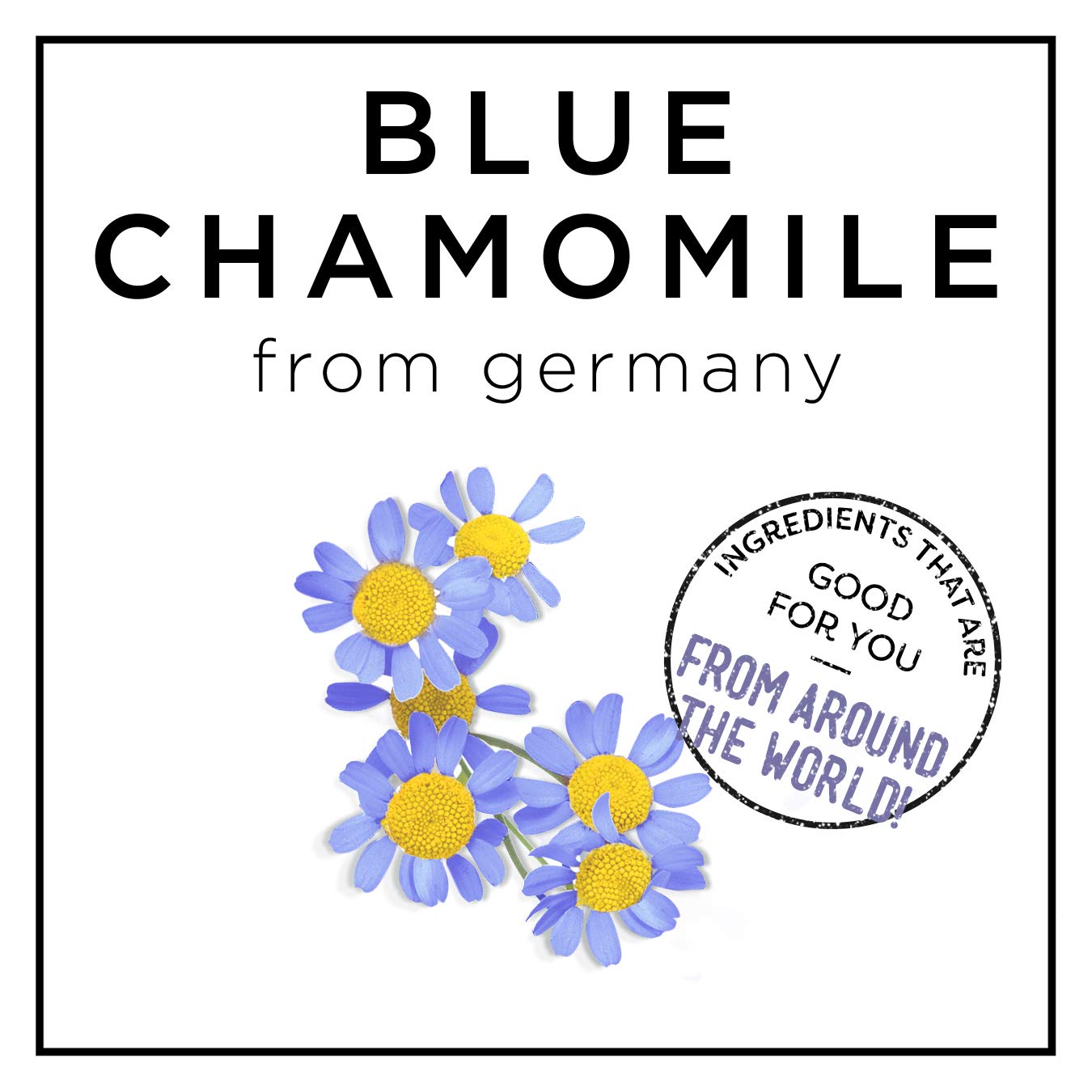 White Smoke Hask Blue Chamomile and Argan Oil Blonde Care Conditioner 12