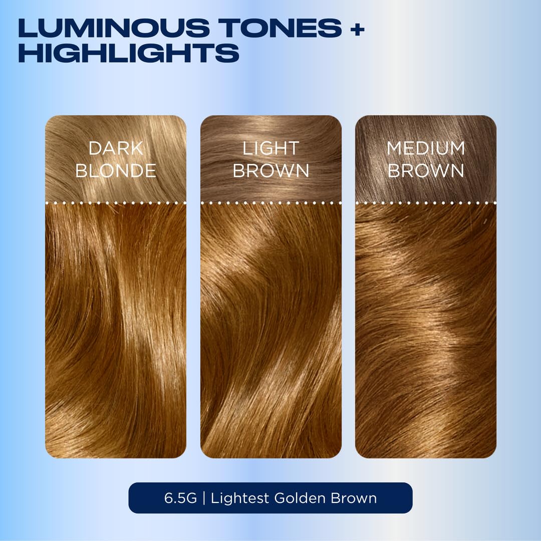 Lavender Clairol Nice'n Easy Permanent Hair Dye, 6.5G Lightest Golden Brown Hair Color, Pack of 3 - Packaging May Vary