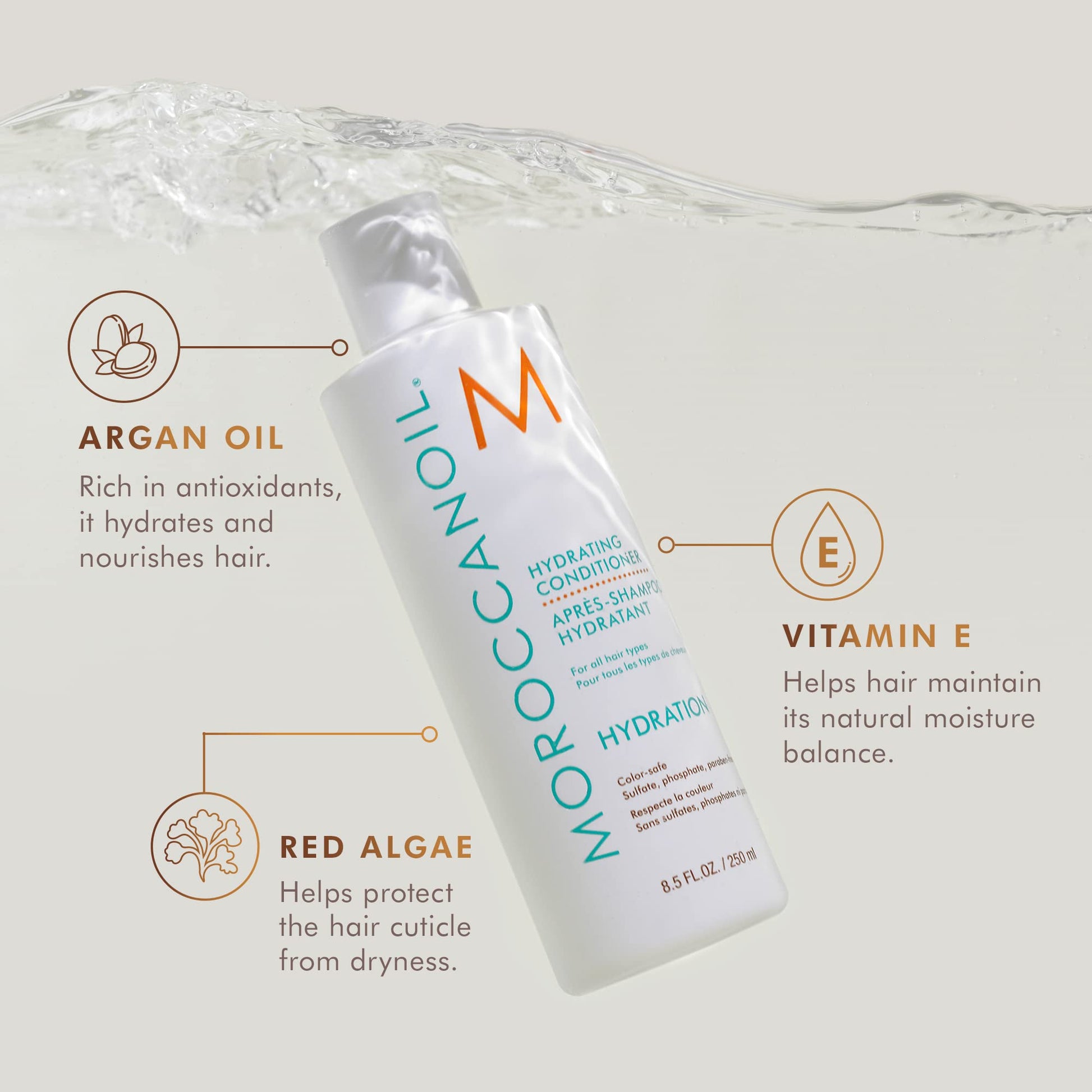 Light Gray Moroccanoil Hydrating Conditioner, 8.5 Fl Oz
