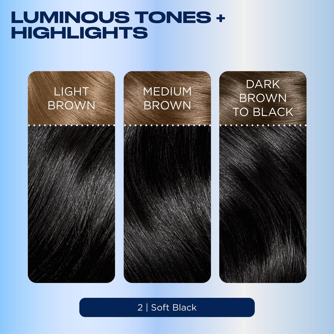 Black Clairol Nice'n Easy Permanent Hair Dye, 2 Black Hair Color, Pack of 3 - Packaging May Vary