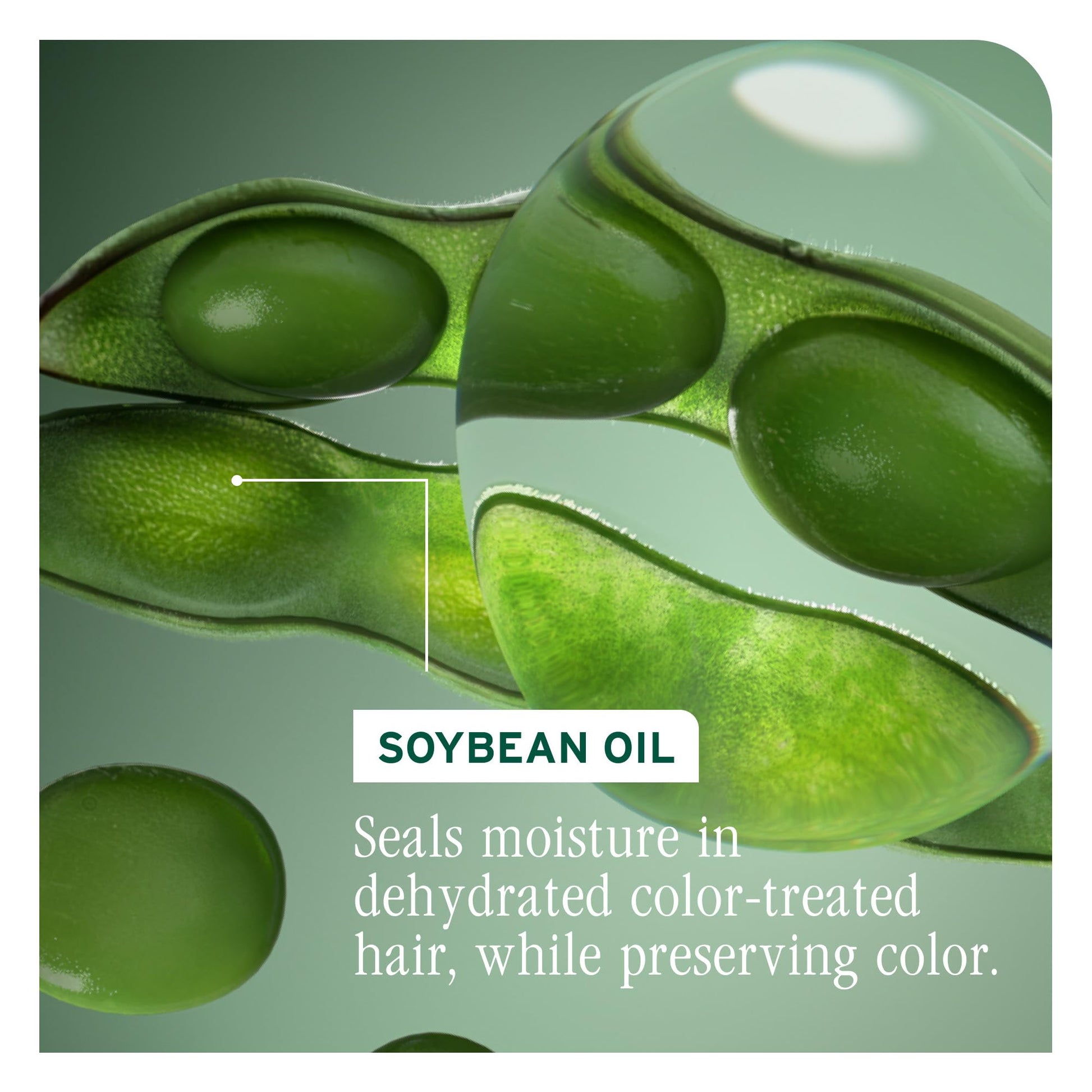 Dark Sea Green Biolage Color Last Conditioner - Protects & Preserves Color Treated Hair, Hydrates & Repairs Damaged Hair, Adds Shine, Vegan, Paraben-Free, 13.5 Fl Oz