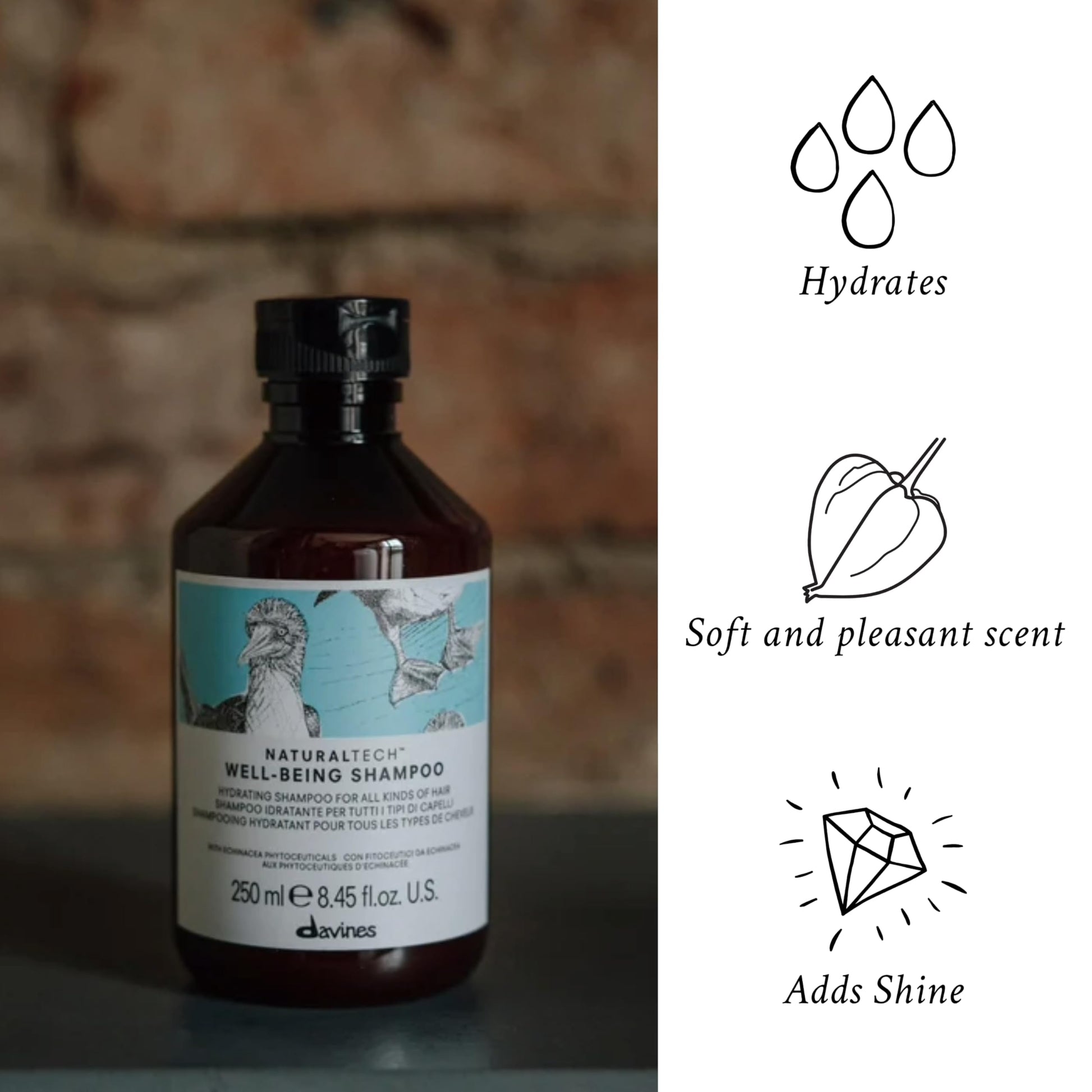 White Smoke Davines Naturaltech Wellbeing Shampoo, Gentle Cleansing & Hydrating for All Hair Types - With Echinacea Phytoceuticals - Daily Cleanser for Scalp Health, 8.45 Fl Oz