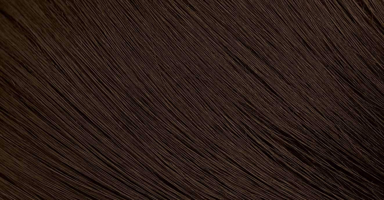 Black 103 Dark Brown Bigen Men's Speedy - 3 Pack