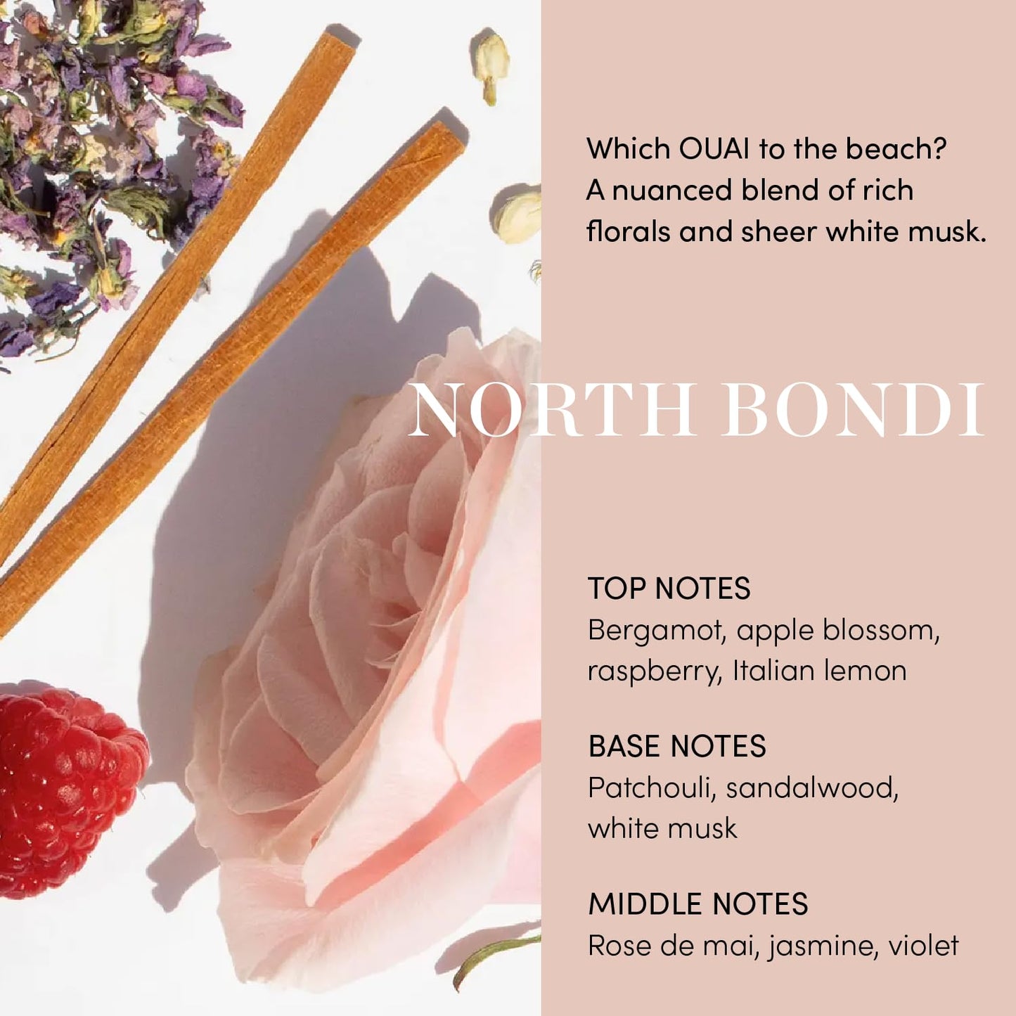 Wheat OUAI Curl Cream - Curl Defining Cream with Chia & Linseed Oil - Enhances Definition, Hydration & Shine - Tames Frizz & Protects from Humidity - Silicone-Free Curly Hair Products for Women (8 oz)