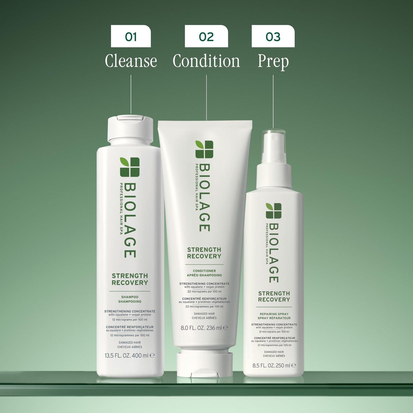 Dim Gray Biolage Strength Recovery Shampoo - Reduces Breakage & Detangles, Instantly Strengthens and Moisturizes, For Damaged Hair, With Olive Squalane & Vegan Proteins, Paraben & Mineral Oil-Free, 1.7 Fl Oz