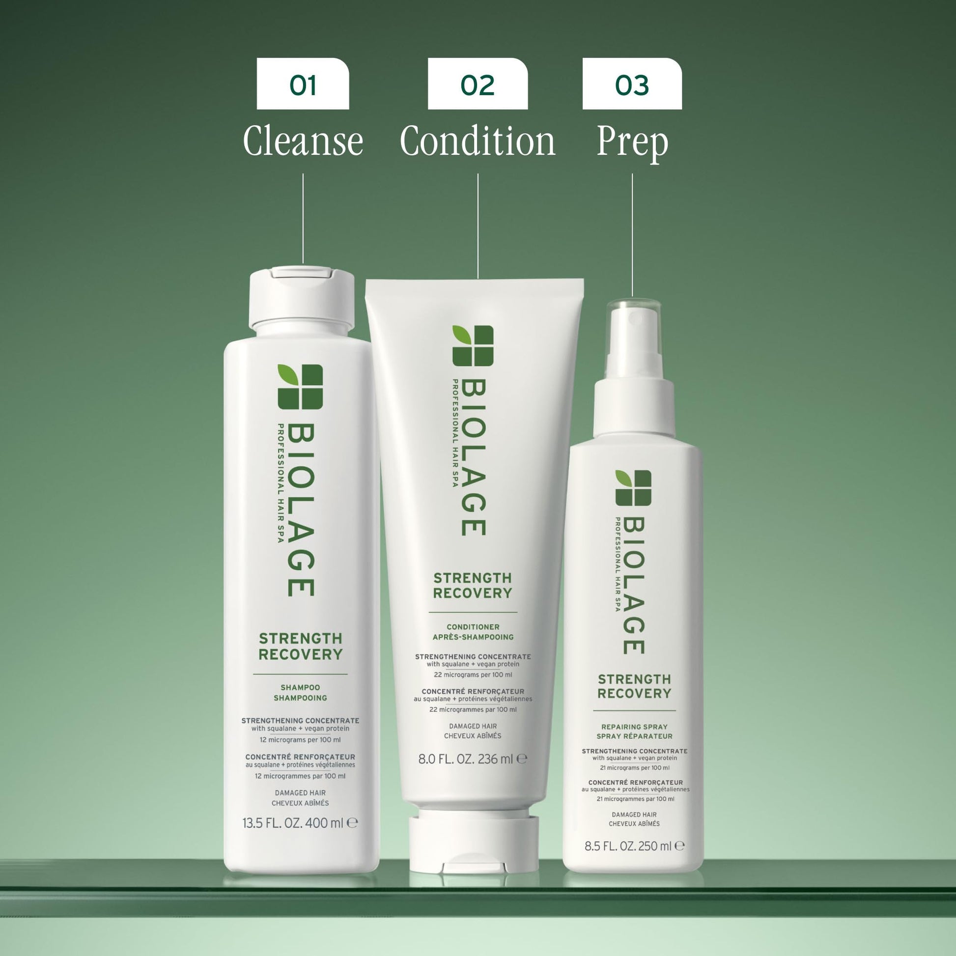 Dim Gray Biolage Strength Recovery Shampoo - Reduces Breakage & Detangles, Instantly Strengthens and Moisturizes, For Damaged Hair, With Olive Squalane & Vegan Proteins, Paraben & Mineral Oil-Free, 1.7 Fl Oz