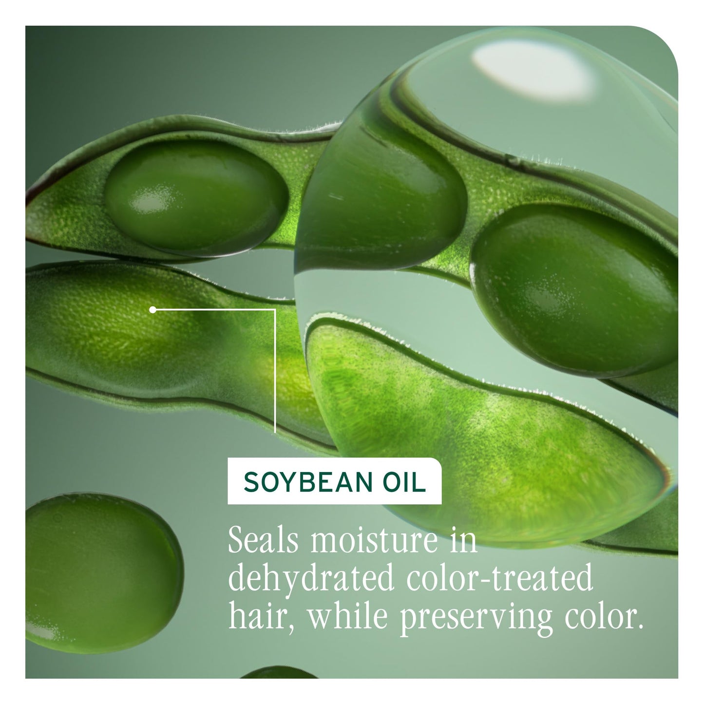 Dark Sea Green Biolage Color Last Shampoo - For Color-Treated Hair, Nourishes, Strengthens, Hydrates and Adds Shine, Soybean Oil & Stearic Acid, Paraben & Mineral Oil-Free, Vegan, 1.7 Fl Oz