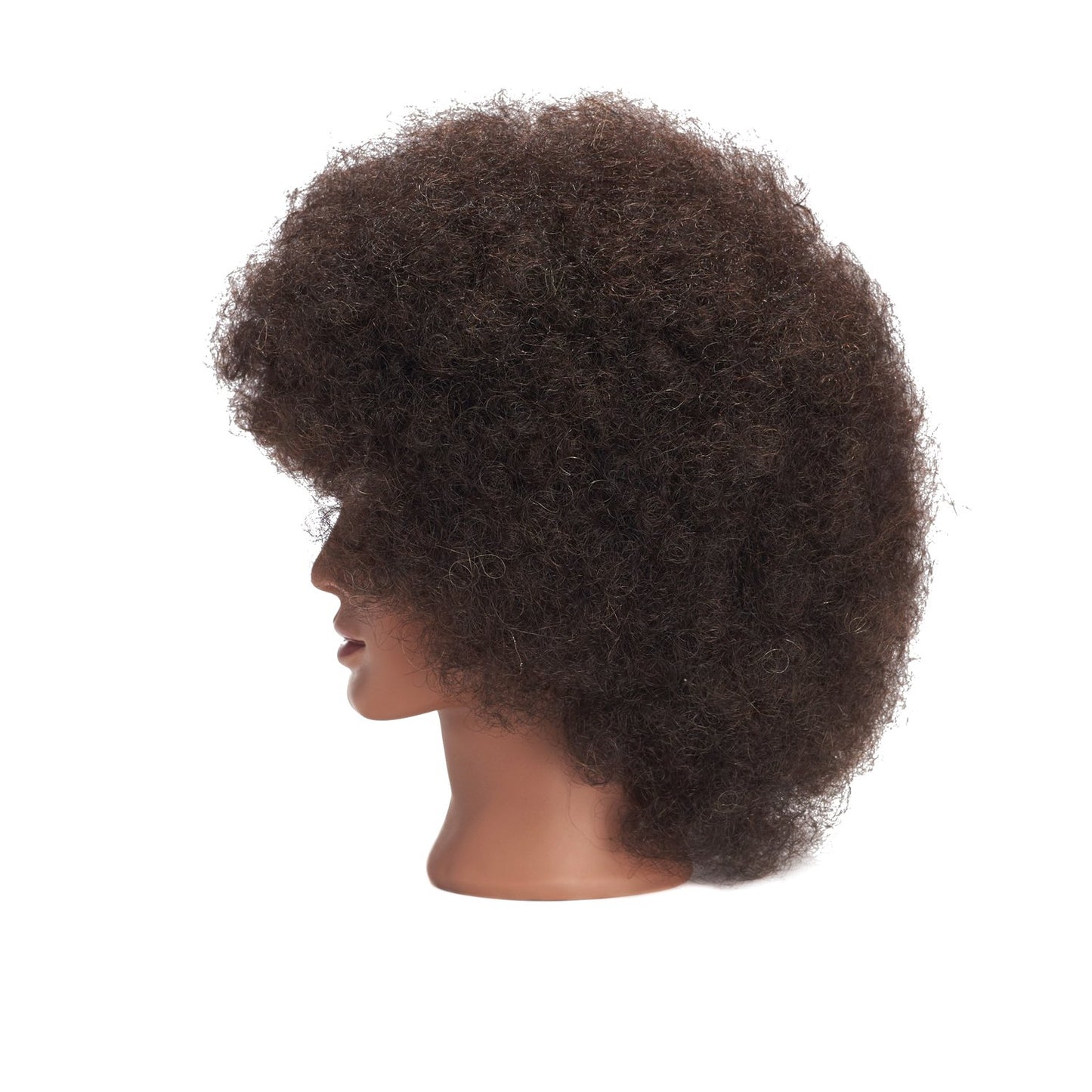 White Smoke Traininghead 100% Real Hair Mannequin Head Training Head Cosmetology Doll Head Manikin Practice Head Hairdresser with Free Clamp Holder Female (10 inches afro hair C)