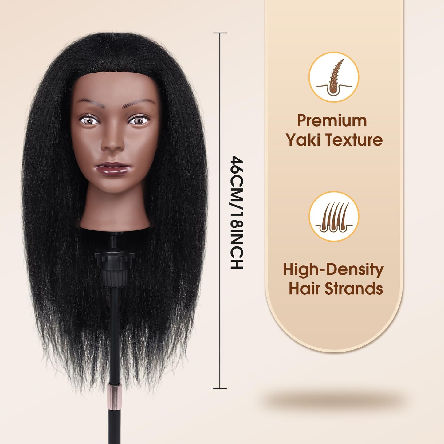 Misty Rose 18 Inch 100% Real Human Hair Mannequin Head, Cosmetology Manikin Head Training Doll Head for Hair Styling, Braiding, Curling Practice, with Table Clamp Holder & Complete Styling Tools Kit(Black)