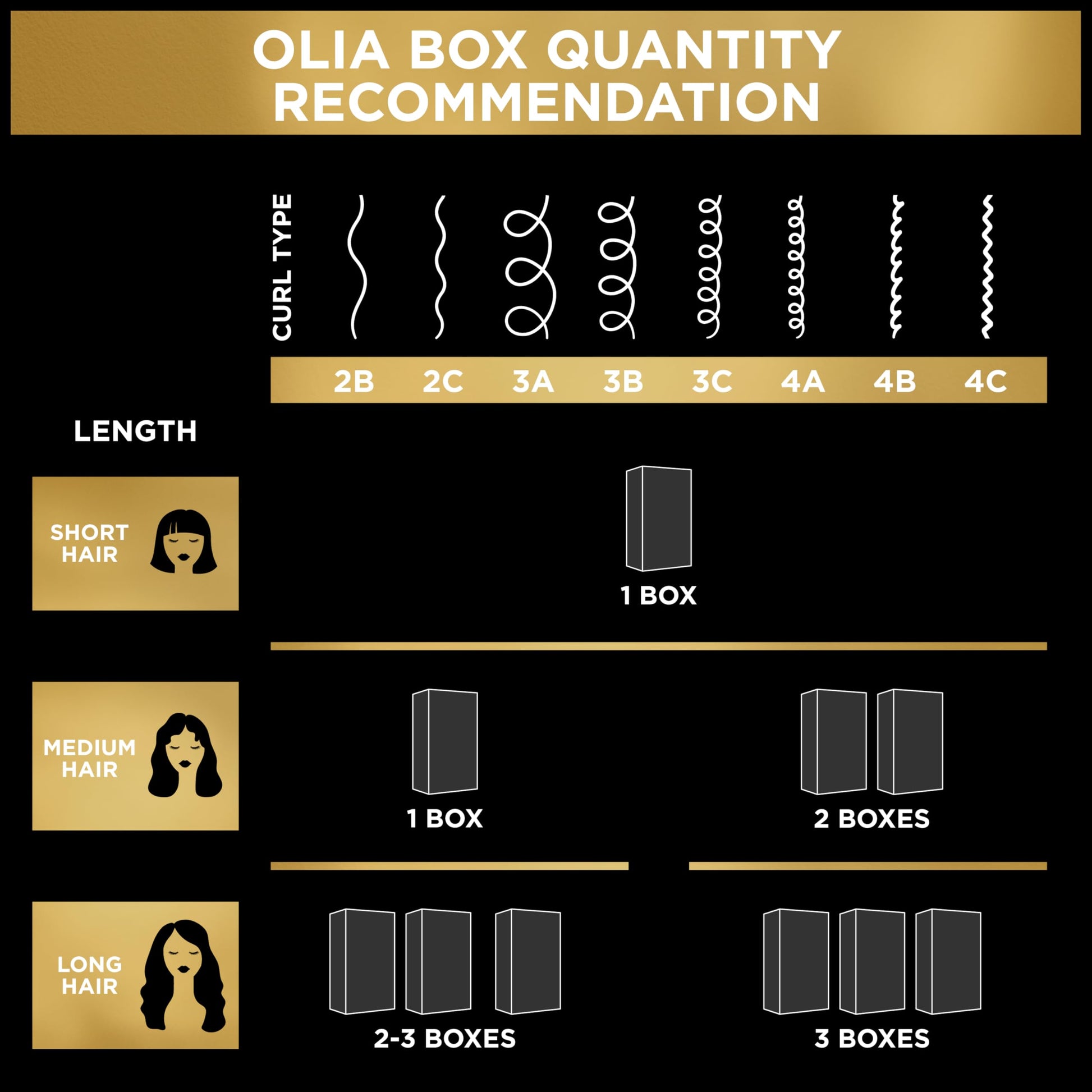 Black Garnier Olia Hair Color, Ammonia-Free Permanent Hair Dye, Oil-Powered Formula for 100% Gray Coverage and 3x Shinier Hair, Vegan & Cruelty Free, 4.0 Dark Brown, 2 Count