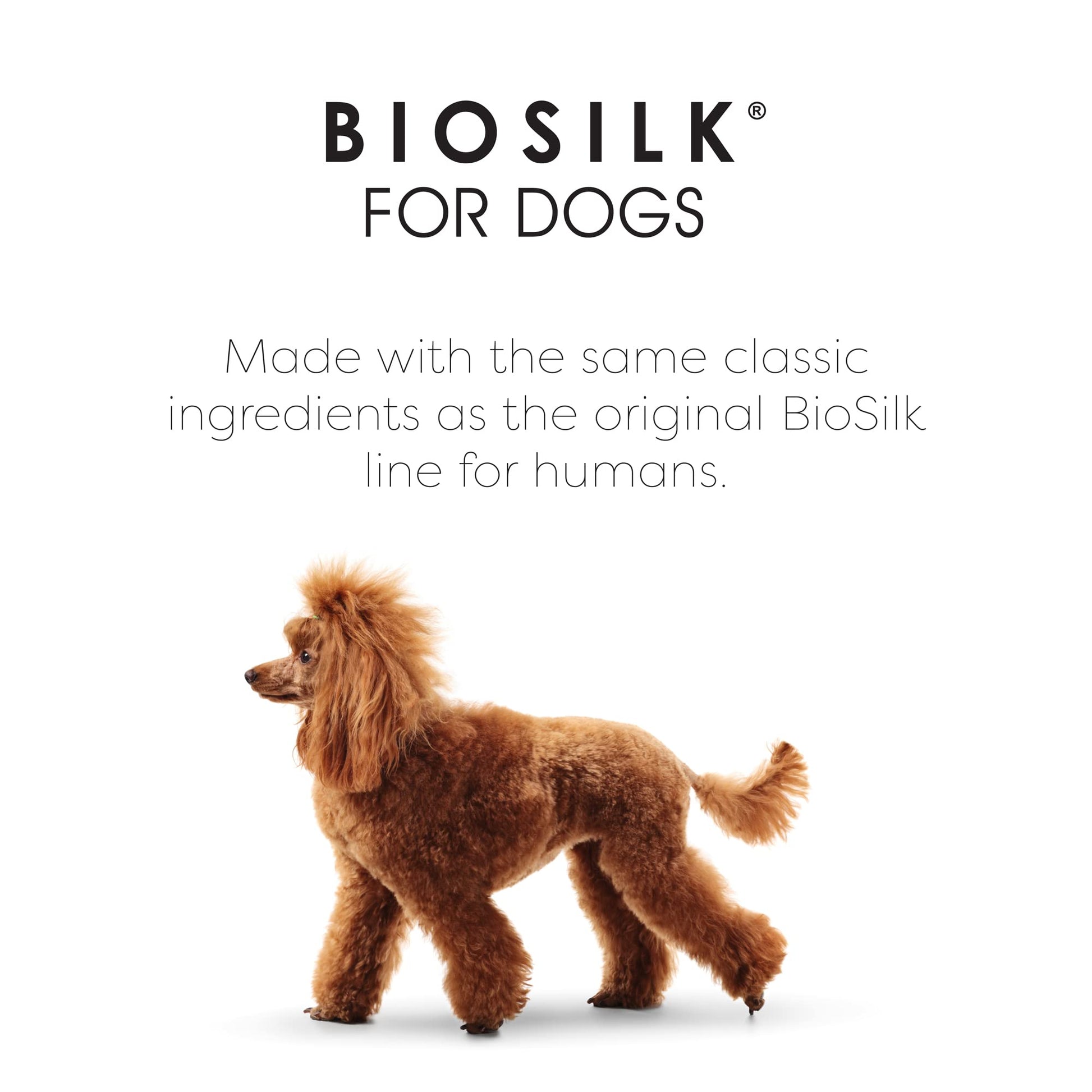 White Smoke BioSilk for Dogs Silk Therapy Conditioner with Natural Coconut Oil | Pet Conditioner - 6 Pack