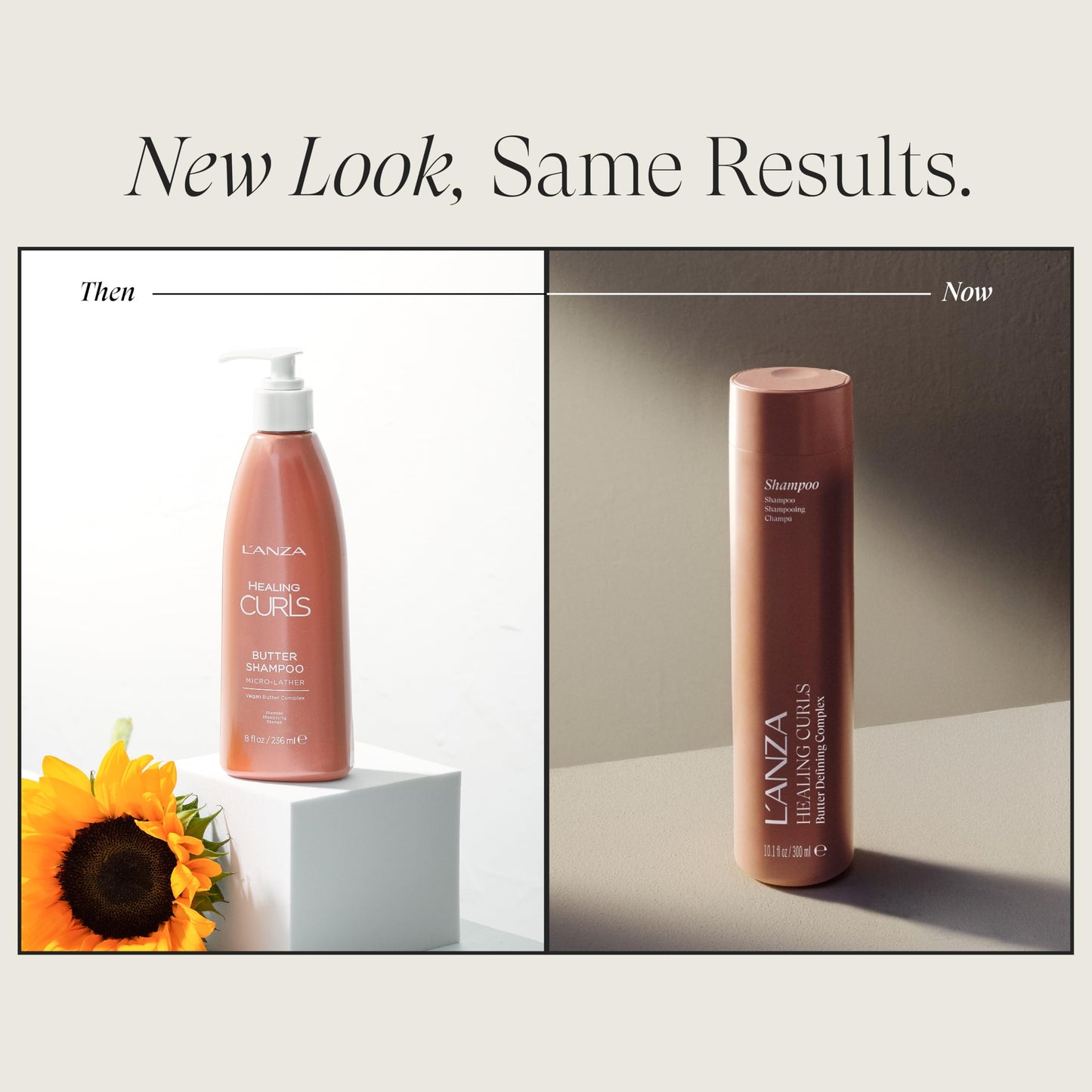 White Smoke L'ANZA Healing Curls Butter Shampoo - Curly Hair Shampoo for a Creamy, Color-Safe Cleanse and Refreshed Curls - Paraben and Sulphate Free Shampoo (8 Fl Oz)