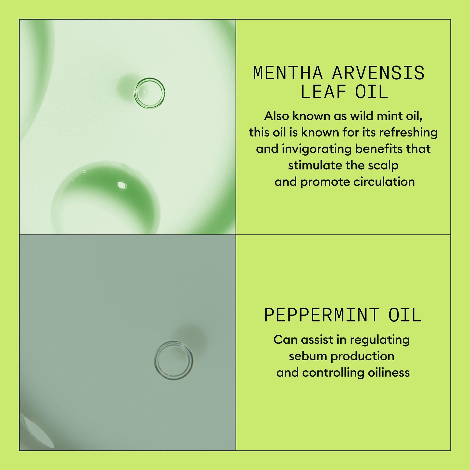 Dark Sea Green Nioxin Scalp + Hair Thickening System 2 Conditioner| For Natural or Untreated Hair with Progressed Thinning| With Niacinamide and Biotin | 33.8 Fl oz.