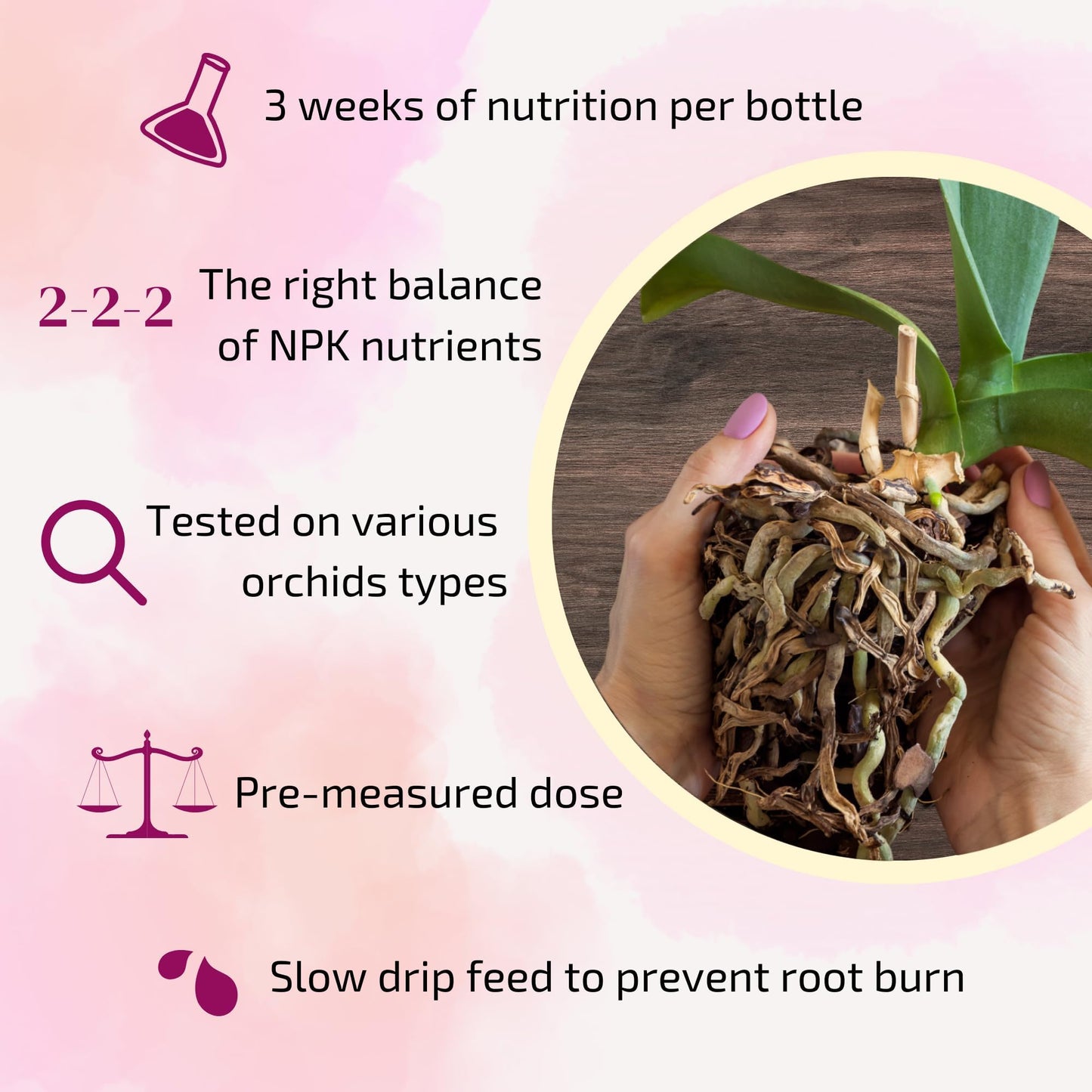 Misty Rose The Green Alcove Liquid Orchid Fertilizer Spikes | Ready-to-Use Orchid Food Spikes & Orchid Plant Food for Blooming, Fertilizer for Orchids (16 Drip Feeders)