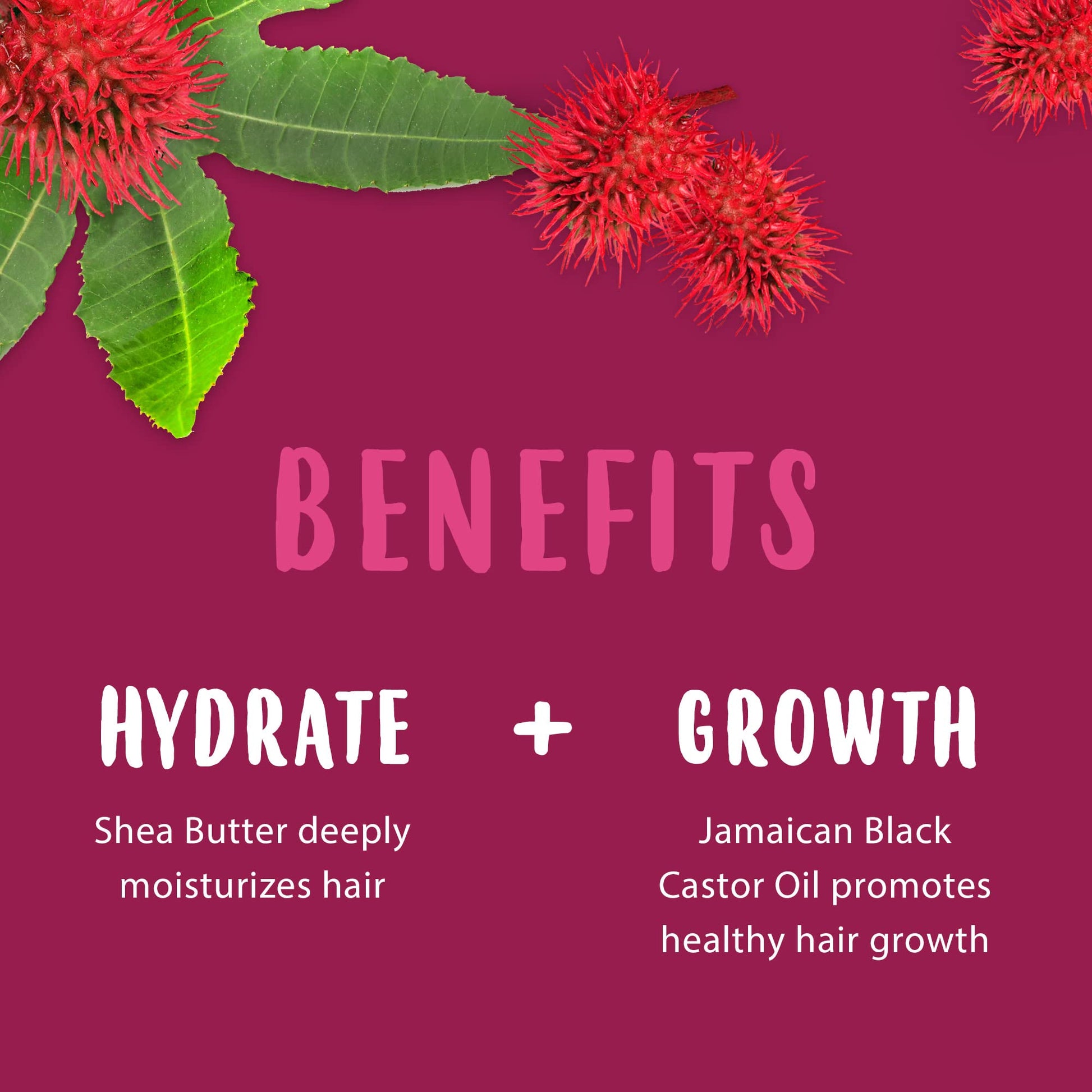 Brown Cantu Jamaican Black Castrol Oil Detangling Primer with Cocoa Butter 6 oz