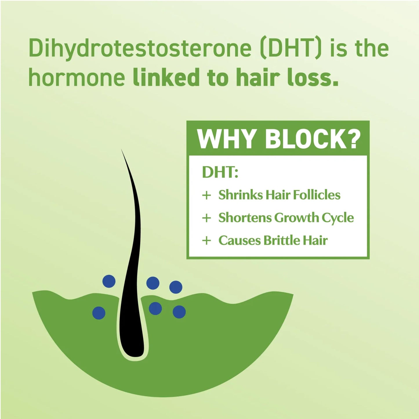 Pale Goldenrod BosleyMD Men & Women DHT Blocking Hair Supplement, Thicker Fuller Hair with DHT·7 Blend, Saw Palmetto, Reishi Mushroom, Green Tea Extract, Nettle Leaf, Dandelion Root & Pygeum Bark, 60 Capsules