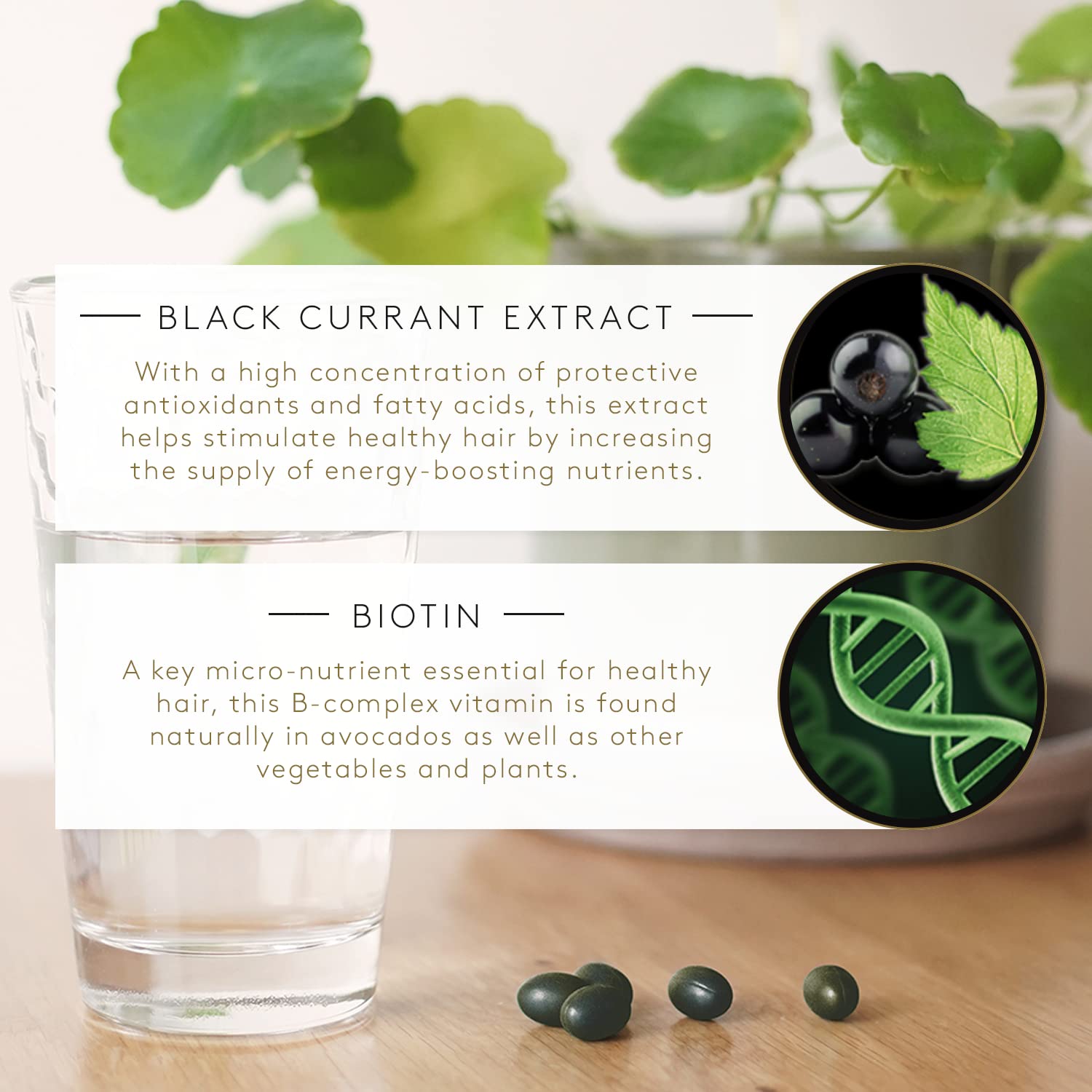 White Smoke Rene Furterer VITALFAN Reactional Dietary Supplement - Sudden & Temporary Hair Thinning - Postpartum - Stress - Plant-Based