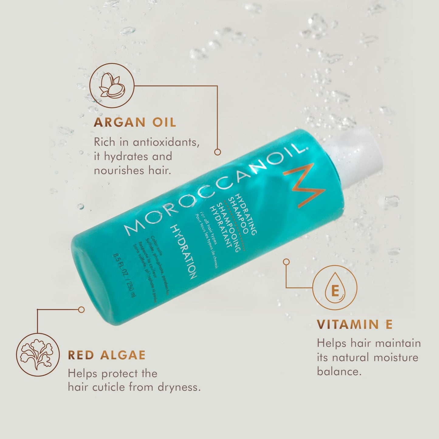 Light Gray Moroccanoil Hydrating Shampoo and Conditioner Bundle, 8.5 Fl. Oz Set
