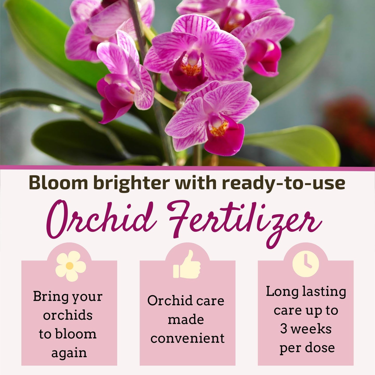 White Smoke The Green Alcove Liquid Orchid Fertilizer Spikes | Ready-to-Use Orchid Food Spikes & Orchid Plant Food for Blooming, Fertilizer for Orchids (16 Drip Feeders)